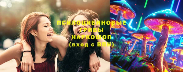 бошки Алексин