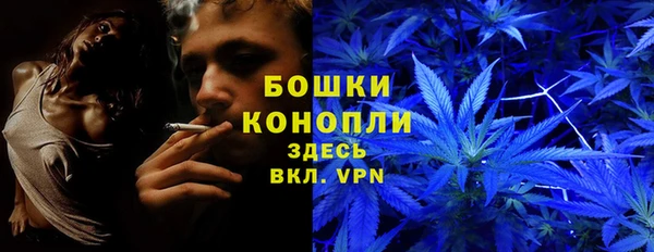 бошки Алексин