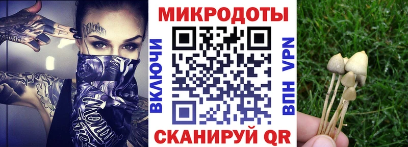 маркетплейс телеграм Сысерть Псилоцибиновые грибы мухоморы